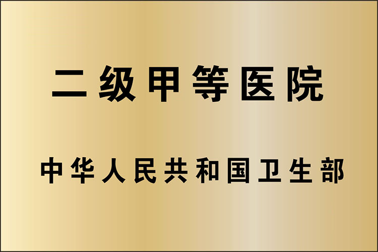 二级甲等医院